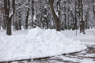 Photo of Trees covered with snow in winter park