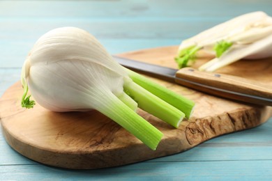 Photo of Fresh raw fennel bulb and knife on light blue table, closeup