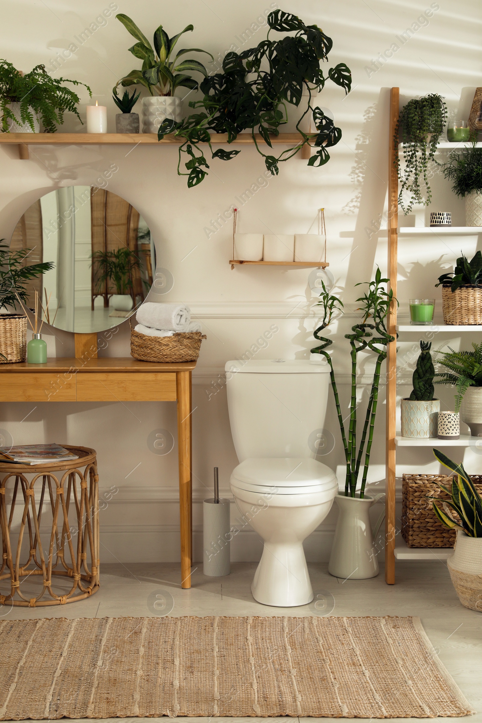 Photo of Stylish bathroom interior with toilet bowl and many beautiful houseplants