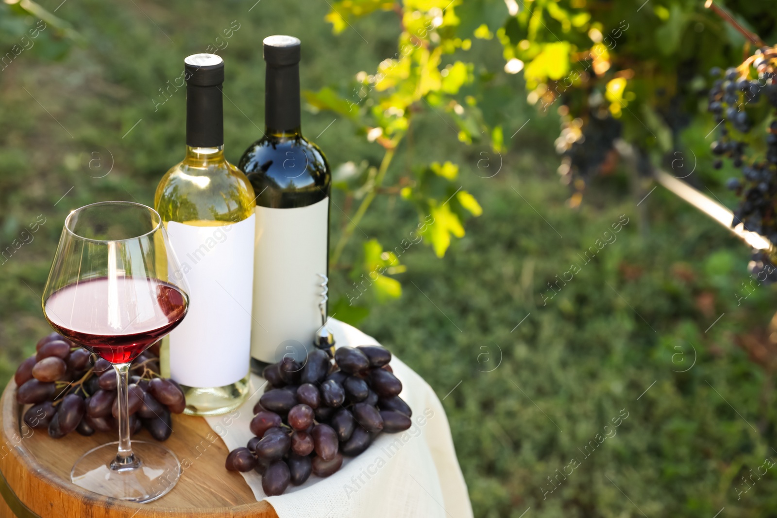 Photo of Composition with wine and ripe grapes on barrel in vineyard