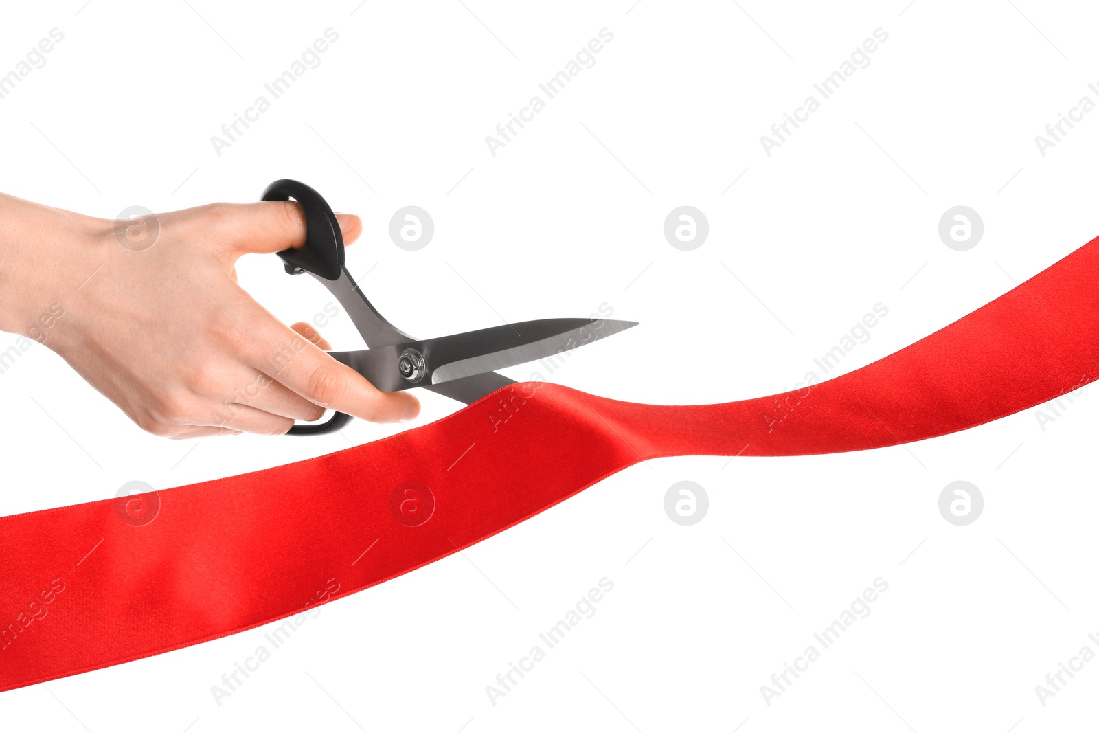 Photo of Man cutting red ribbon on white background, closeup