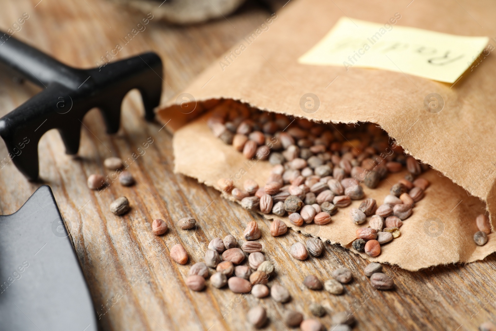 Photo of Radish seeds and gardening equipment on wooden table, closeup. Vegetable planting