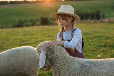Photo of Girl feeding sheep on pasture. Farm animals