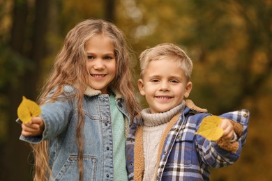 Portrait of happy children with autumn dry leaves outdoors