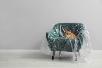 Photo of Cute ginger cat resting in armchair covered with plastic film near light grey wall indoors, space for text