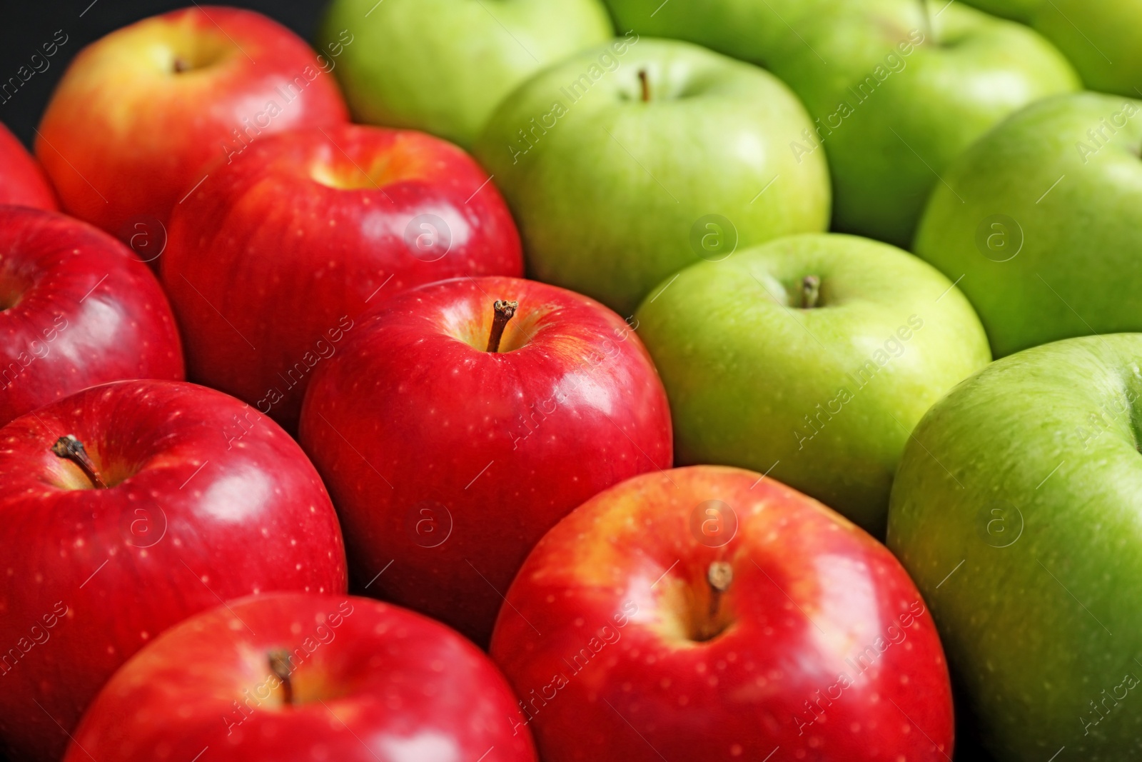 Photo of Fresh green and red apples, closeup