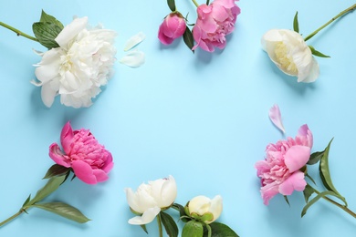 Frame made of fragrant peonies on color background, top view with space for text. Beautiful spring flowers