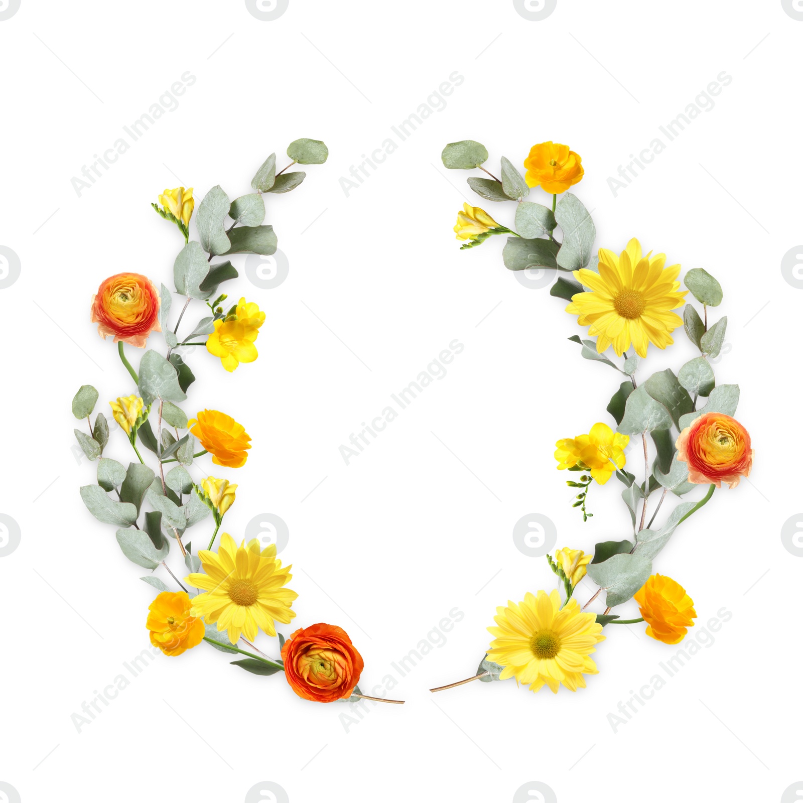 Image of Wreath made of beautiful flowers on white background