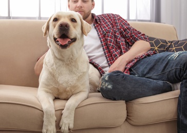 Photo of Adorable yellow labrador retriever with owner on couch indoors