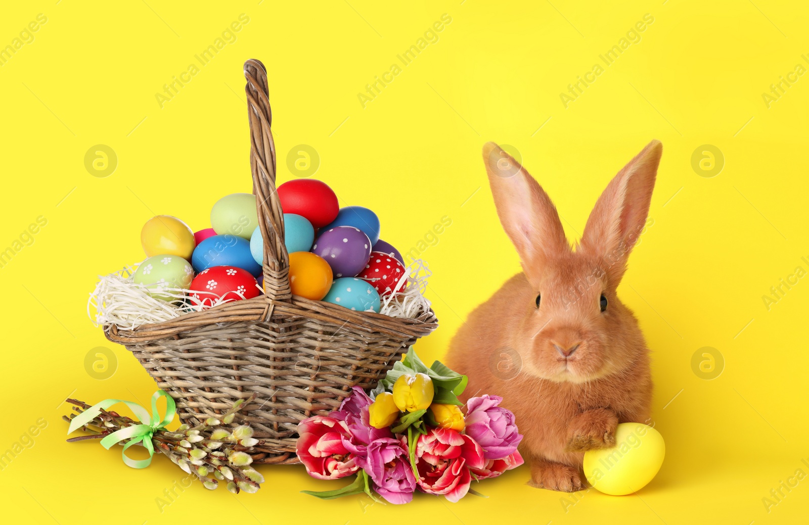 Image of Cute bunny and wicker basket with bright Easter eggs on yellow background