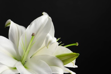 Photo of Beautiful white lily flowers on black background, closeup. Space for text