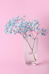 Photo of Beautiful dyed gypsophila flowers in glass vase on pink background