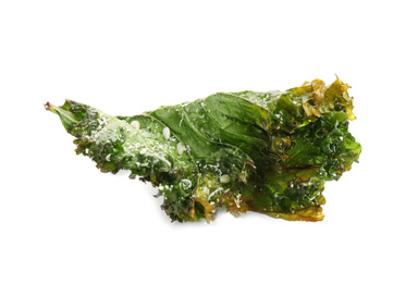 Photo of Tasty baked kale chip isolated on white