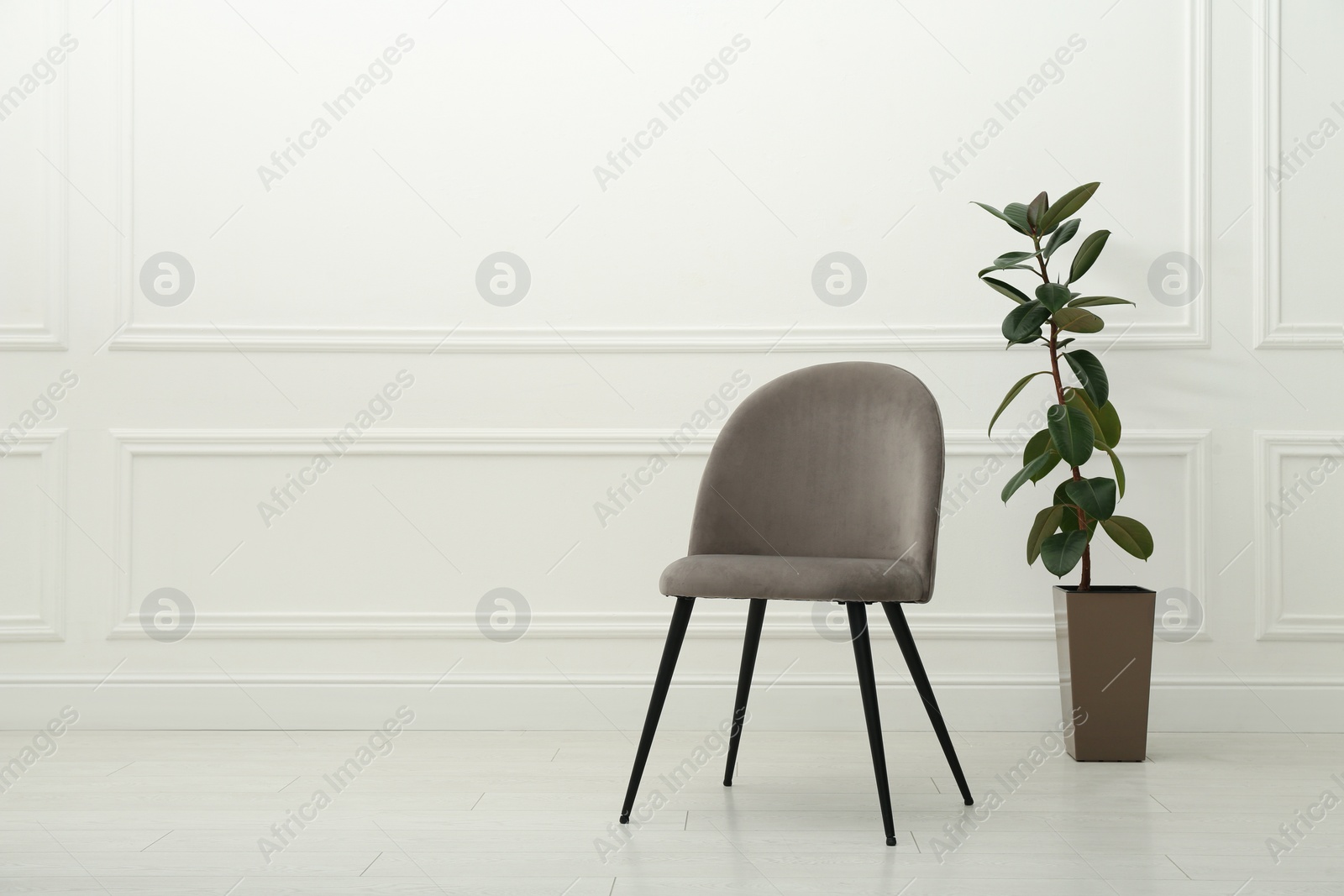 Photo of Modern beige chair and beautiful houseplant near white wall indoors. Space for text