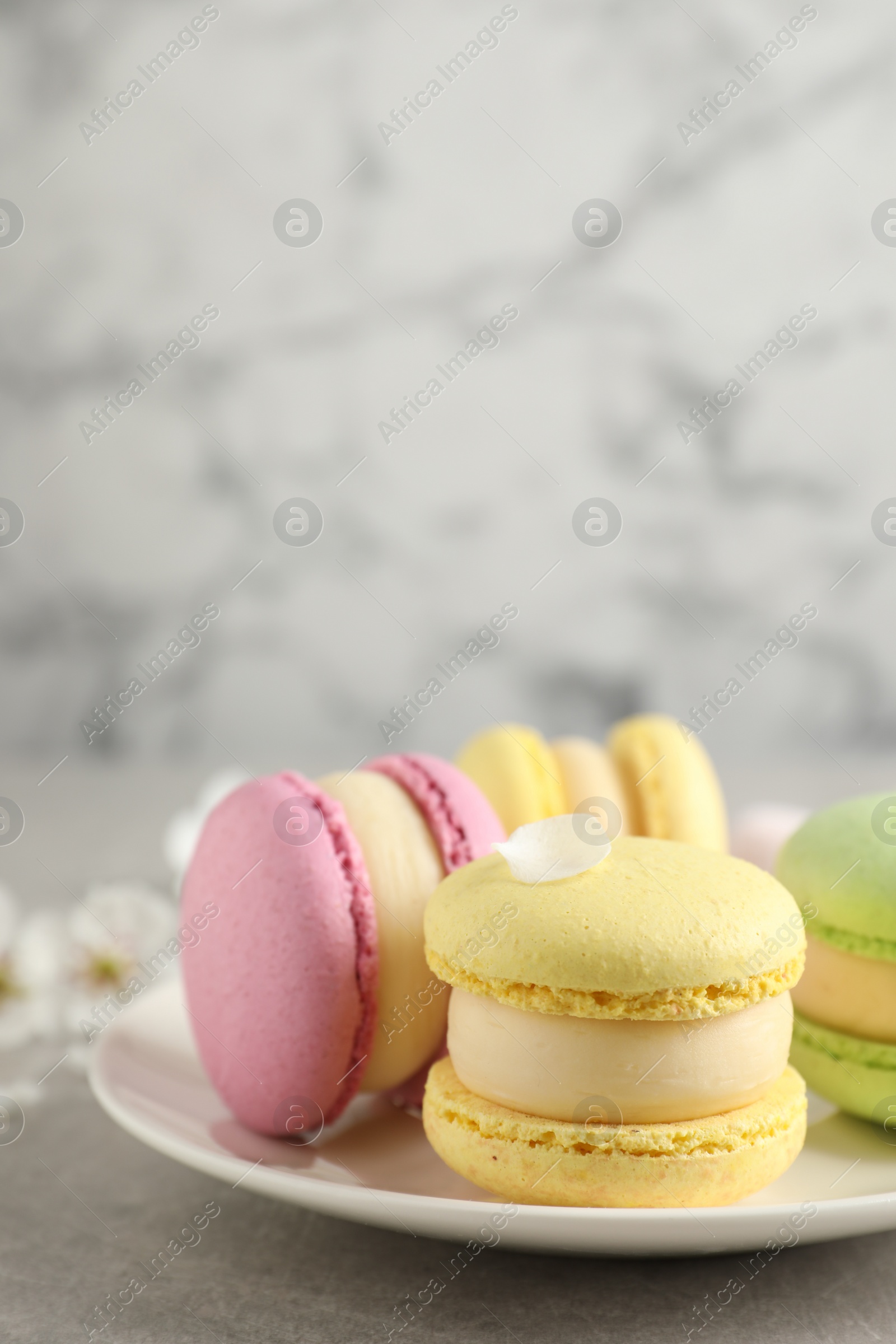 Photo of Delicious colorful macarons on grey table, closeup