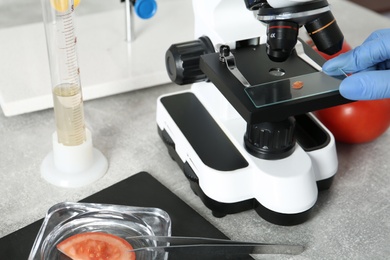 Photo of Scientist inspecting tomato with microscope in laboratory, closeup. Food quality control
