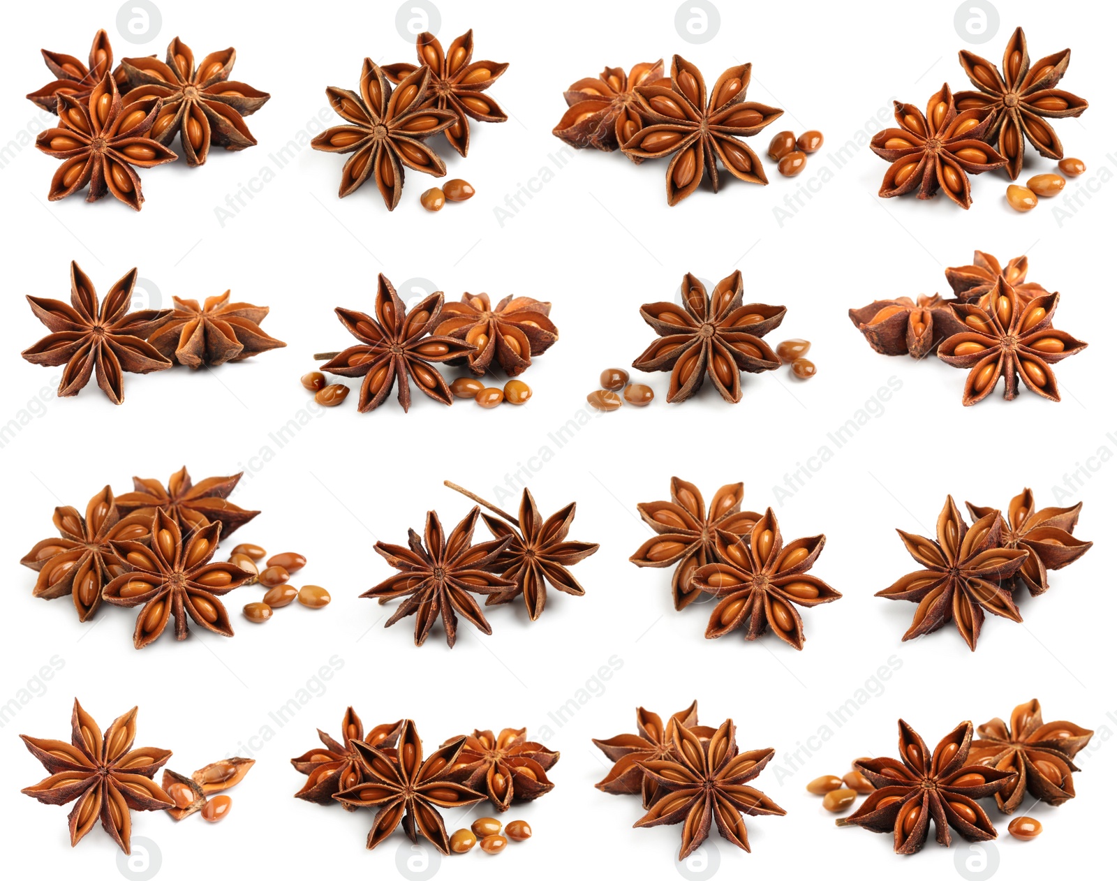 Image of Set with dry anise anise stars on white background