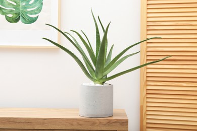 Photo of Beautiful potted aloe vera plant on chest of drawers indoors