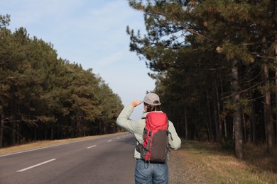 Young woman with backpack on road near forest, back view