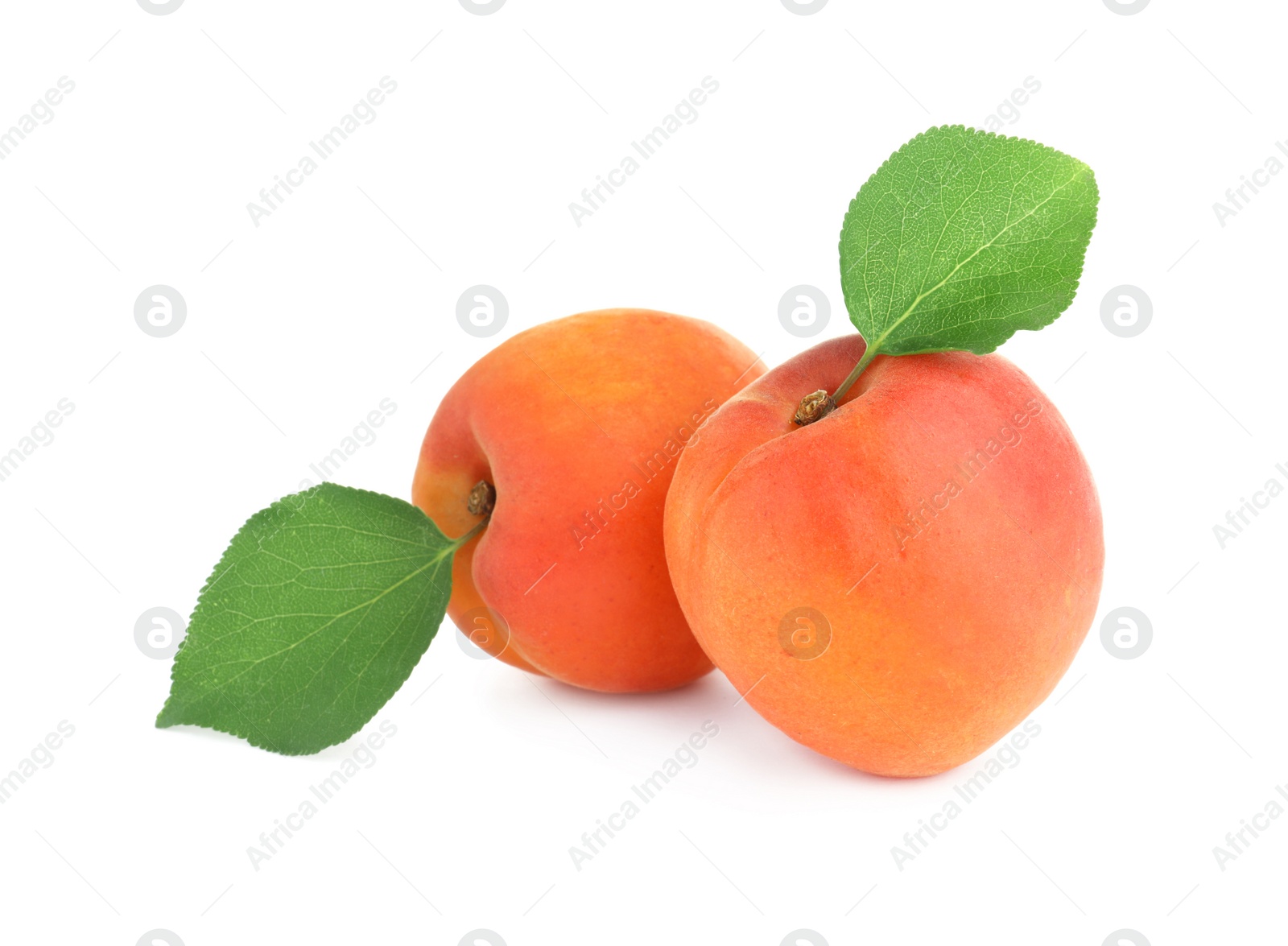 Photo of Delicious fresh ripe apricots on white background