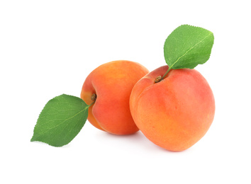 Photo of Delicious fresh ripe apricots on white background