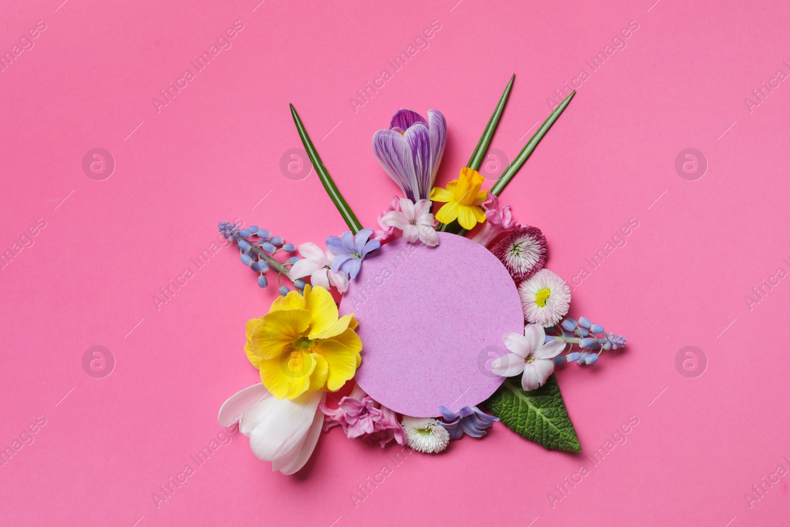 Photo of Flat lay composition with spring hyacinth flowers and blank card on color background, space for text