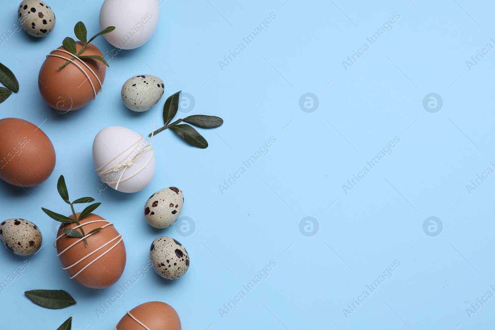 Photo of Beautifully decorated Easter eggs and green leaves on light blue background, flat lay. Space for text
