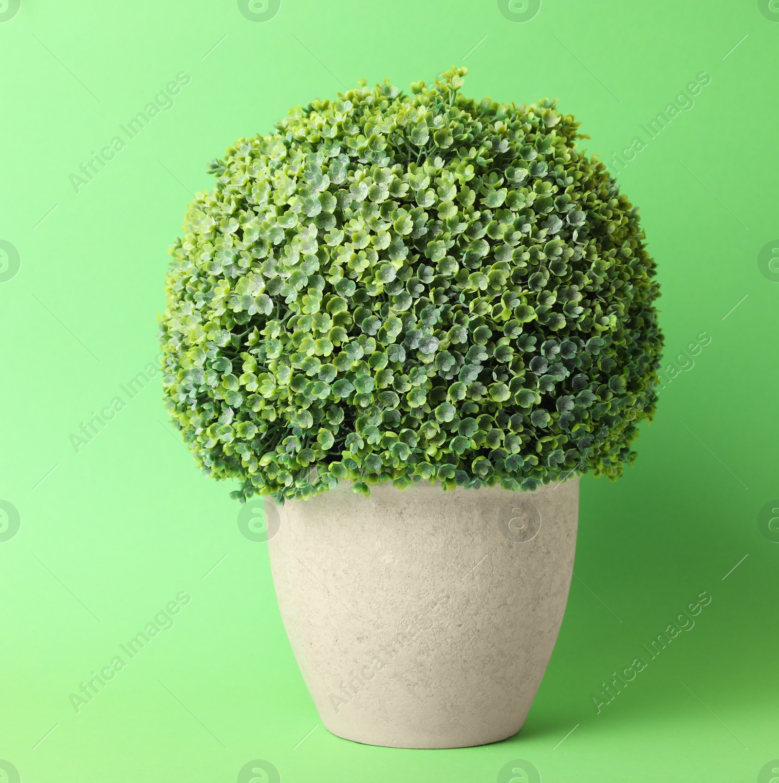 Photo of Beautiful artificial plant in flower pot on green background