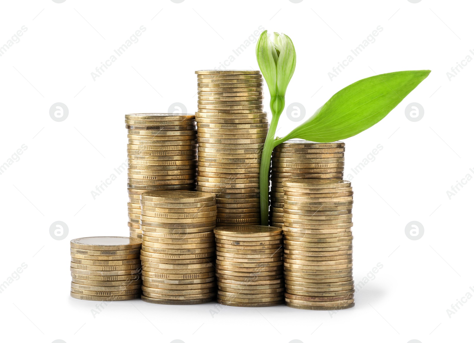 Photo of Stacks of coins and green plant on white background. Prosperous business