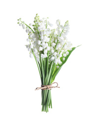 Photo of Beautiful lily of the valley flowers isolated on white