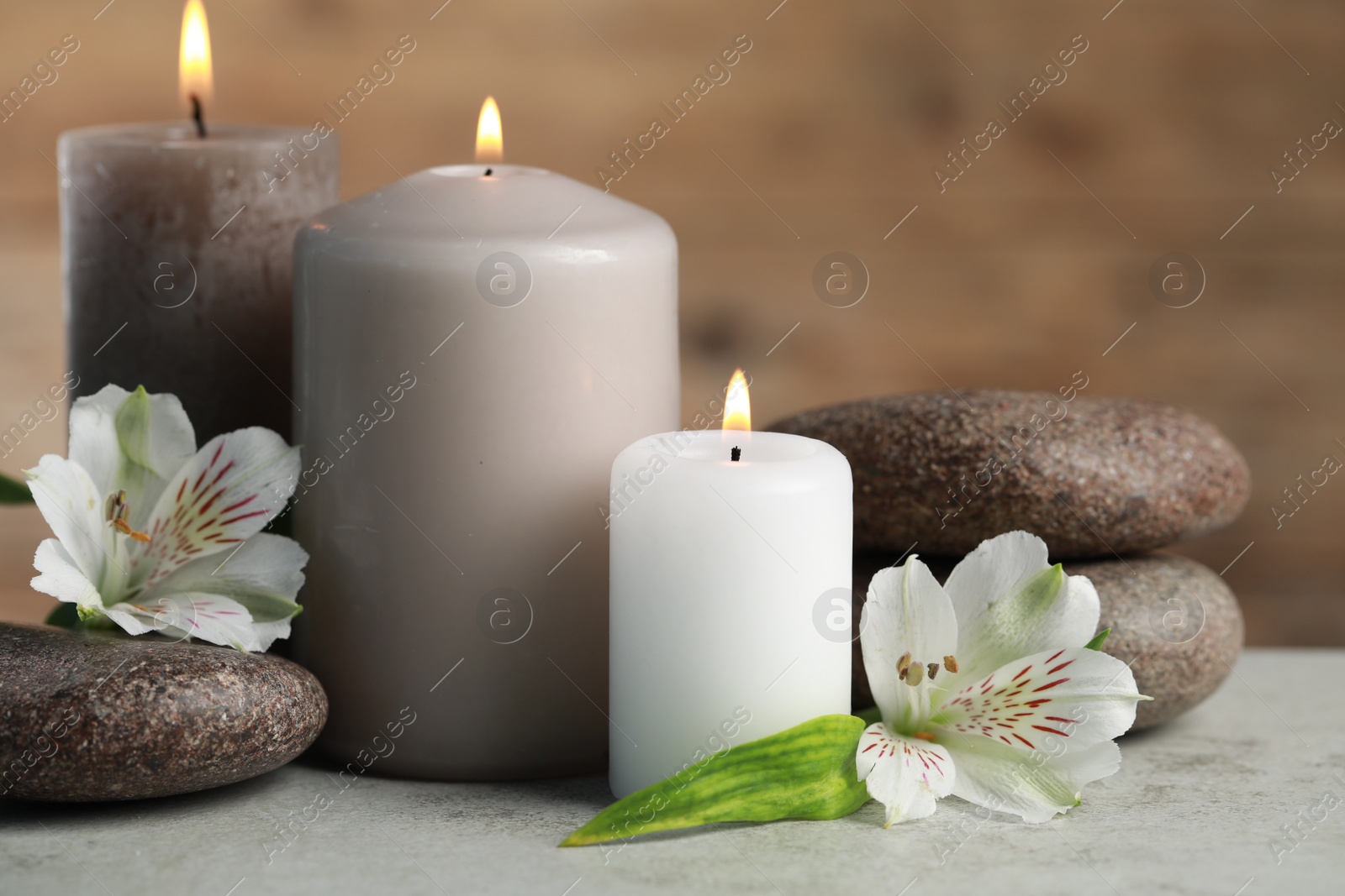 Photo of Beautiful composition with burning candles, spa stones and flowers on light grey table, closeup