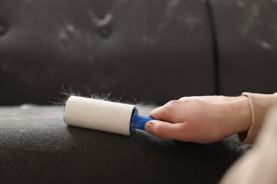 Pet shedding. Man with lint roller removing dog's hair from sofa, closeup