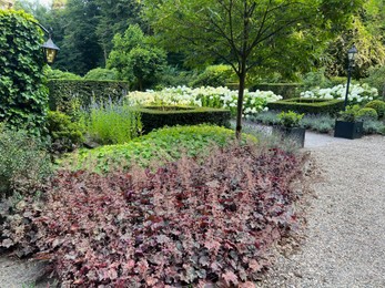 Photo of Beautiful green trees, flowers and shrubs in garden on sunny day