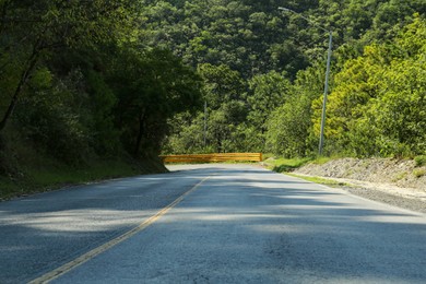 Photo of Asphalt road near plants and trees on sunny day