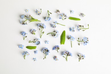 Photo of Beautiful forget-me-not flowers on white background, flat lay