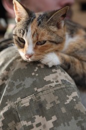 Photo of Ukrainian soldier with little stray cat, closeup