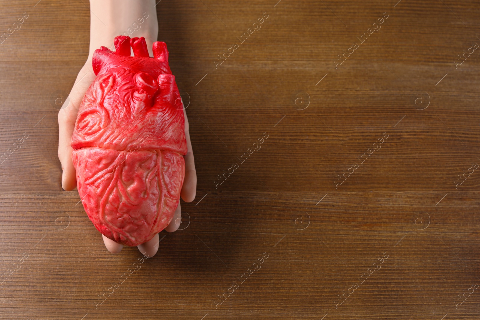 Photo of Woman holding model of heart on wooden table. Heart attack concept