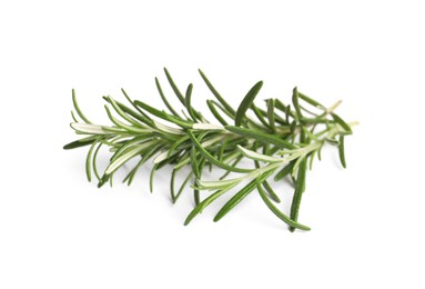Photo of Sprig of fresh rosemary isolated on white