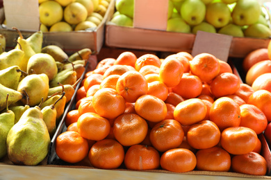 Photo of Fresh ripe fruits on counter at wholesale market