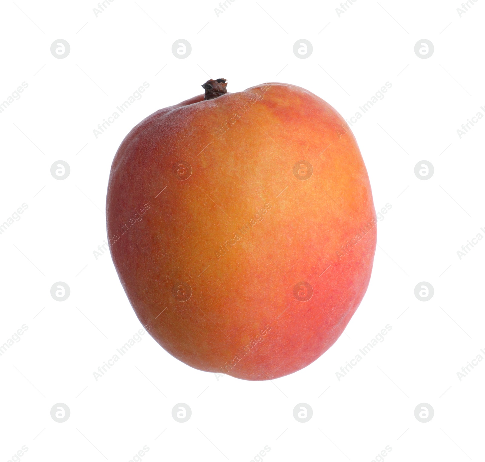 Photo of Delicious fresh ripe apricot isolated on white