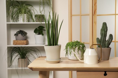 Photo of Green houseplants in pots and watering can on wooden table indoors, space for text