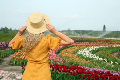 Photo of Woman wearing wicker hat in beautiful tulip field, back view. Space for text