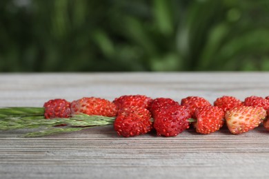 Photo of Grass stems with wild strawberries on white wooden table, closeup