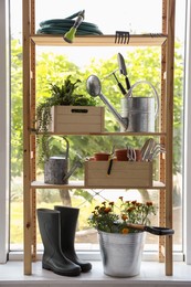 Photo of Beautiful plants and gardening tools on rack indoors