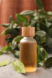 Photo of Bottle of bay essential oil and fresh leaves on light grey table