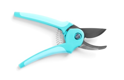 Photo of New pruner on white background. Professional gardening tool