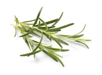 Photo of Sprig of fresh rosemary isolated on white