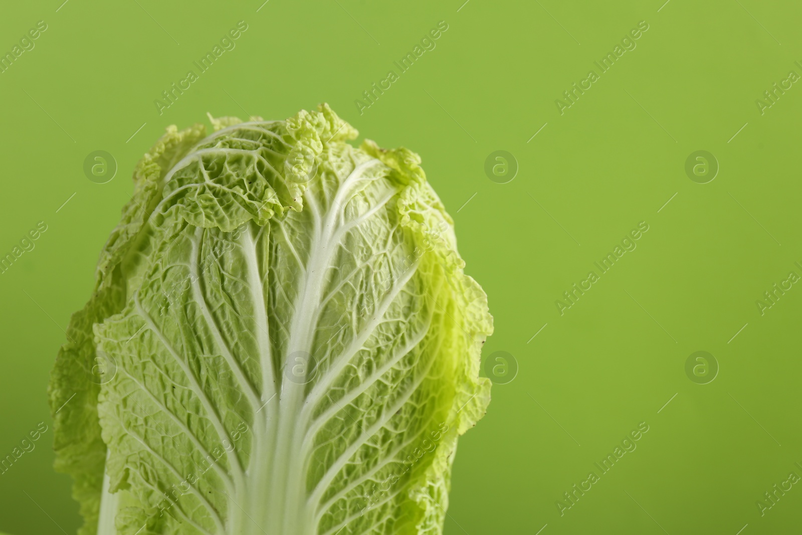 Photo of Fresh ripe Chinese cabbage on light green background, closeup. Space for text