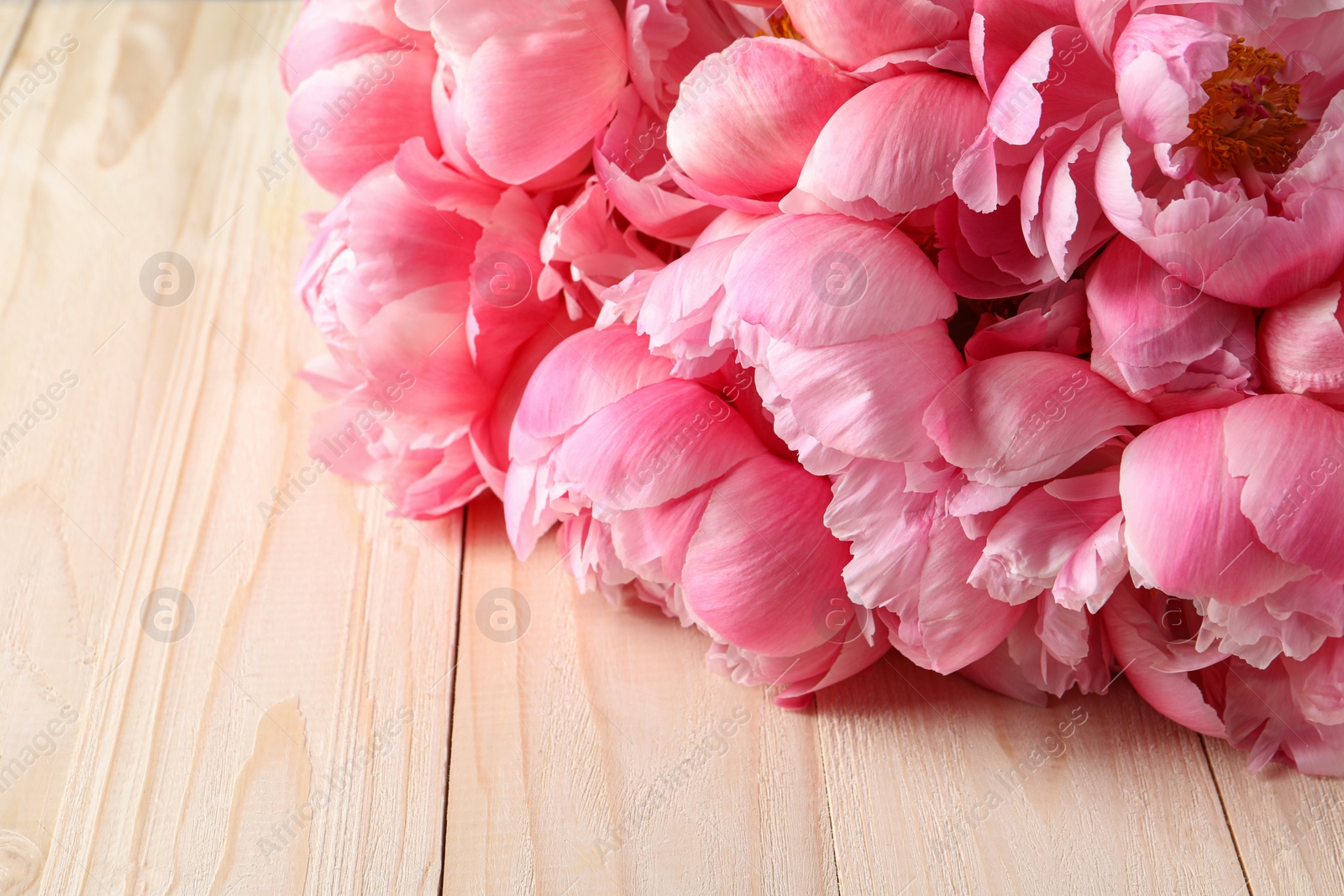 Photo of Beautiful pink peonies on wooden table, closeup. Space for text