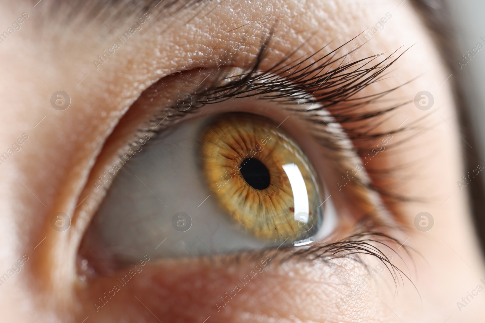 Photo of Macro photo of woman with beautiful eyes